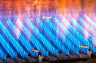 Harbridge Green gas fired boilers